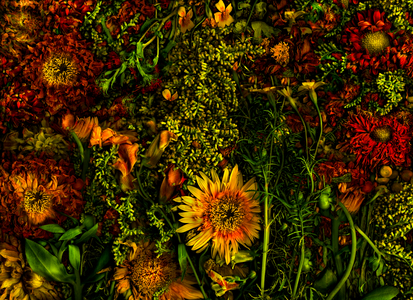 Autumn colours no.1, 2012 (photo)