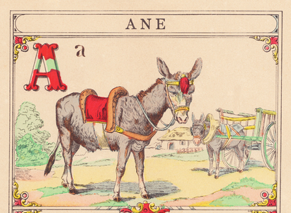 A: Ane