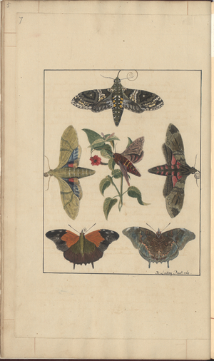 Lindsay Drawings Vol. VI, 7, 1750-79 (w/c on paper)