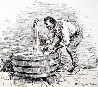 Machado's cigar factory, Jamaica 1889 (engraving)