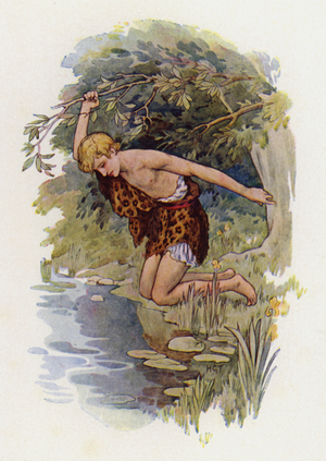 Narcissus (colour litho)