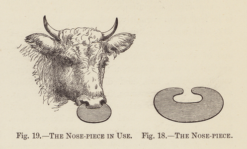 The Nose-piece in use; The Nose-piece (engraving)