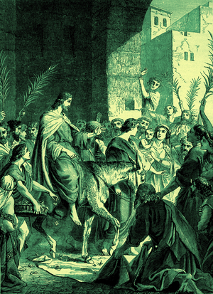Hosanna: Blessed is the King of Israel - Bible (print)