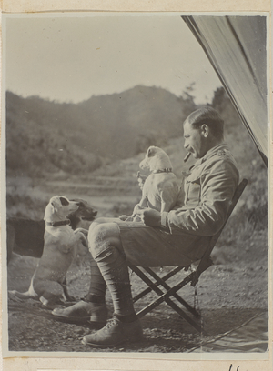 Jaike, Polly and Pinch, Lieutenant Walter Bagot-Chester with his dogs, 1909 circa (b/w photo)