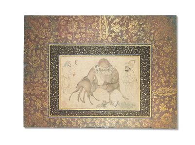A Camel and her Calf, Safavid Iran, 1650-1700 (ink & opaque pigments heightened with gold on paper)
