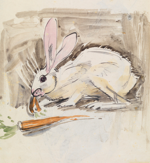 Rabbit (pen & wash on paper) 