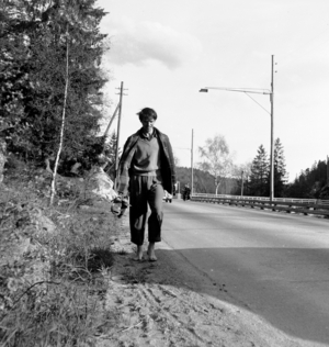 The art of walking, in 1956. Norway, the spring of 1956. The well-known Swedish …, 1956 (photo)