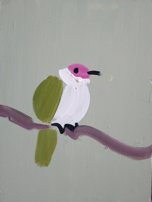 Beautiful Fruit Dove, 2013 (oil on board)