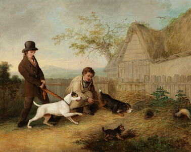 Rat Catching (oil on canvas)