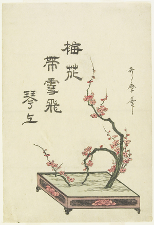 (Plum Flower Arrangement)
