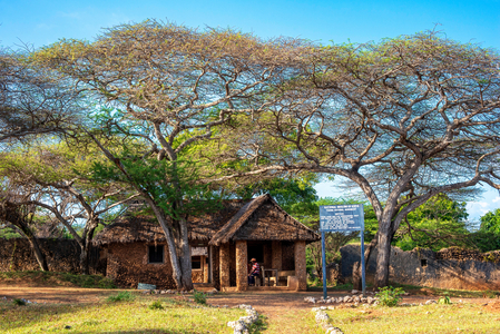 Ruins of ancient settlement at Takwa on Manda Island near Lamu Kenya, 2020 (photo)