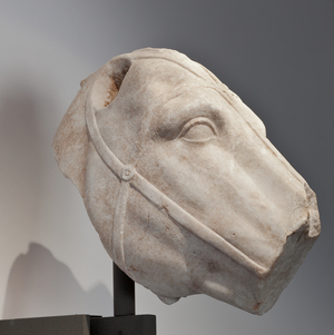 Tête de cheval avec harnais, - (Marbre)
