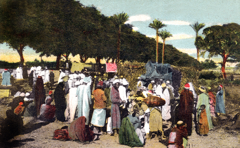 sugar cane market in Cairo, Egypt, postcard early 20th century