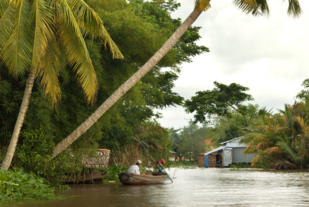 Mekong River delta, Phong Dien District, Can Tho, Vietnam (photo)
