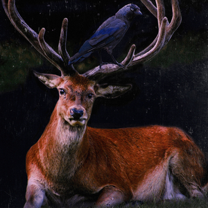 Soul Mates, 2018 (digital composite)