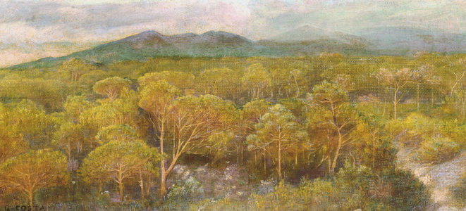 Un bacio morente alla pineta odorosa (oil on canvas)