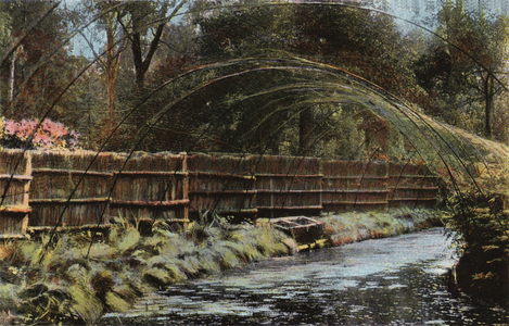 Fritton Decoy (photo)