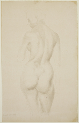 Nude, 1953 (silverpoint on paper)