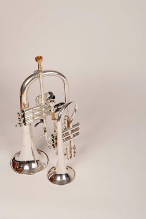 Soprano Cornet and a Flugelhorn.