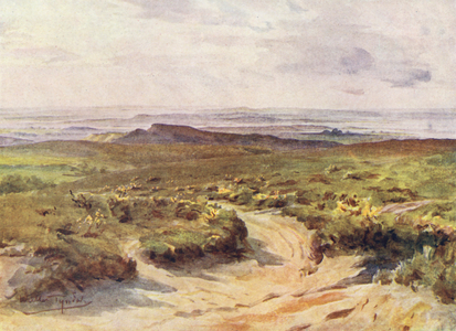 Wessex: Studland Heath, Poole Harbour in the distance (colour litho)