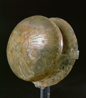 Bottom of a moulded bowl with a broad rim (glass)
