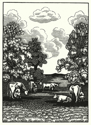 Illustration for Tess Of The DUrbervilles by Thomas Hardy (engraving)