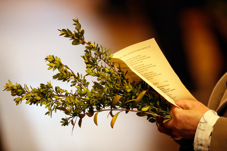 Saint Joseph des Fins church. Catholic mass. Holy week. Palm sunday celebration. Annecy. France.