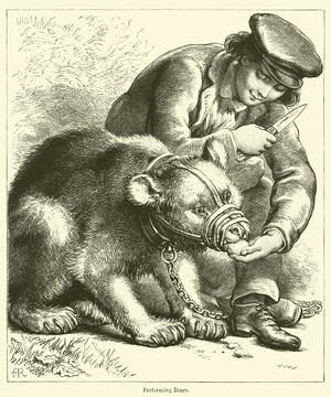 Performing Bears (engraving)