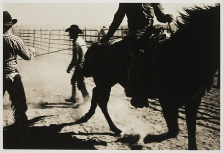 Bell Ranch Remuda, Bell Ranch, New Mexico, 1974 (gelatin silver print with toning)