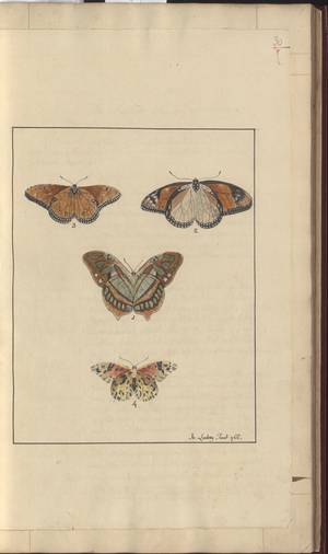 Lindsay Drawings Vol. VI, 30, 1750-79 (w/c on paper)