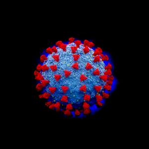 Speculative illustration of a coronavirus
