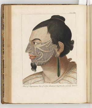 Head of Otegoongoon, illustration from 'A journal of a voyage to the South Seas : in His Majesty's ship, the Endeavour', 1794 (hand-coloured engraving)