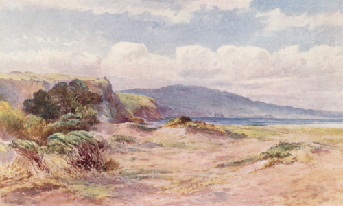 New Zealand: On the Beach at Ngunguru (colour litho)