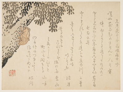 Shell of a cicada, c.1848-53 (colour woodblock print)