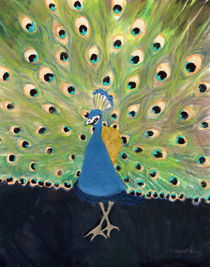 Peacock at Woodland Park Zoo, c. 2024 (mixed media on paper)
