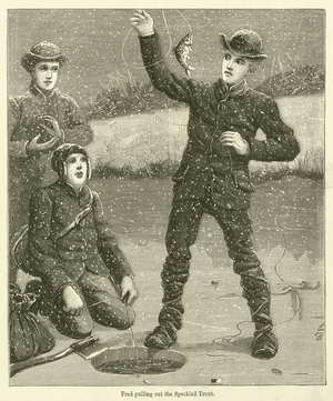 Fred pulling out the Speckled Trout (engraving)