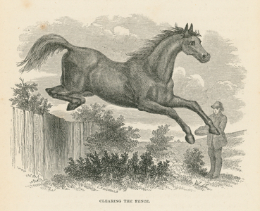 Clearing the Fence (engraving)