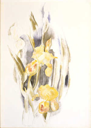 Yellow Iris, 1921 (watercolour, pencil on paper)