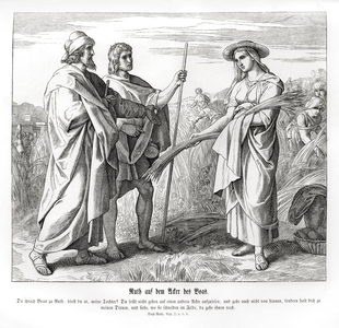 Ruth in the fields of Boaz, Ruth