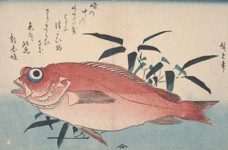 Sea-bream and Bamboo Grass, 1840 (woodcut)