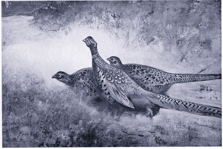 Against an Autumn background (litho)