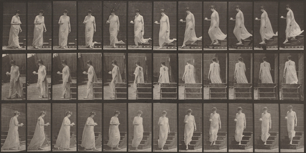 Plate Number 143. Descending stairs, a cup and saucer in right hand,1887 (photo)