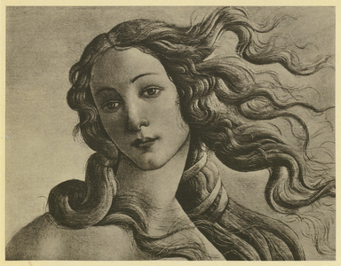 Botticelli: Venus Anadyomene, Detail (b/w photo)