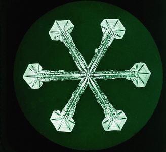 Study showing the form and structure of a Snowflake, c.1902 (photo)
