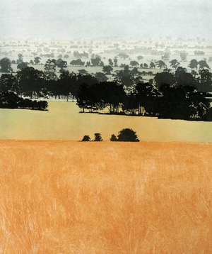 Treeline, 1979 (etching and aquatint)