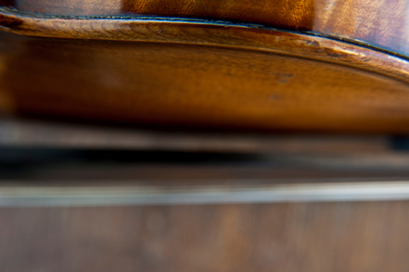 Violin