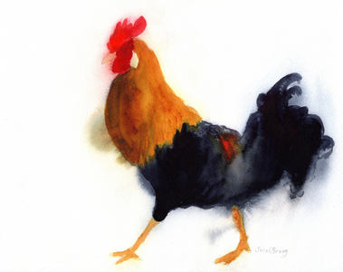 Rooster on Kauai at Lydgate Park, c. 2019 (watercolor on paper)