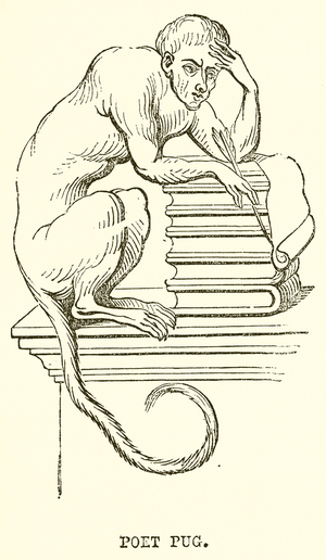 Poet Pug (engraving)