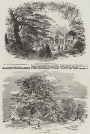 Syon, the Seat of His Grace the Duke of Northumberland (engraving)