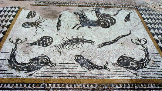Volubilis, Morocco